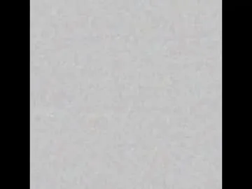 JakelineKitty – webcam model profile photo Image 11