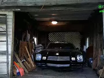 Humsafa-13 – webcam model profile photo Image 18