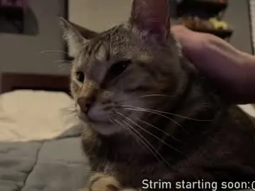 V-Hot-Sweti – webcam model profile photo Image 11