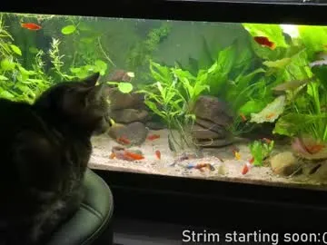 V-Hot-Sweti – webcam model profile photo Image 14