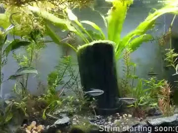 V-Hot-Sweti – webcam model profile photo Image 17