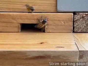 V-Hot-Sweti – webcam model profile photo Image 18