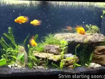 V-Hot-Sweti – webcam model profile photo Image 19