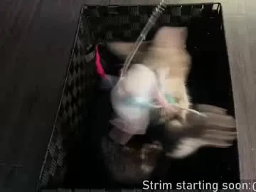 V-Hot-Sweti – webcam model profile photo Image 3