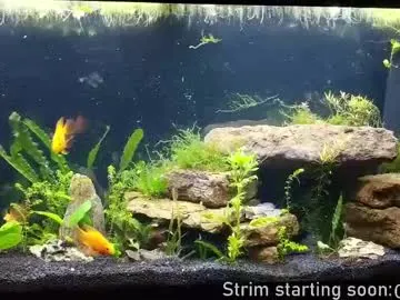 V-Hot-Sweti – webcam model profile photo Image 5