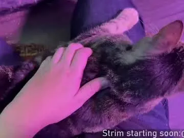 V-Hot-Sweti – webcam model profile photo Image 9