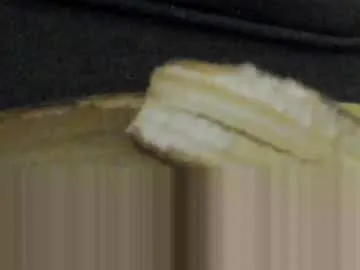 VixenCapri – webcam model profile photo Image 2