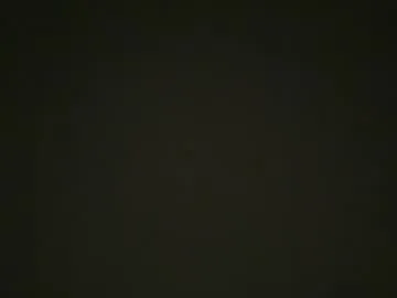 VixenCapri – webcam model profile photo Image 9