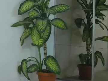 Vladamais – webcam model profile photo Image 2