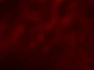 Shanudri77 – webcam model profile photo Image 15