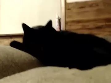 Priya_Thakur-india – webcam model profile photo Image 17