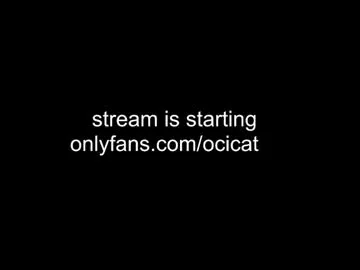 ocicat Image 14