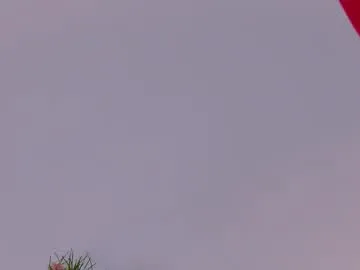 RosieCheeks_ – webcam model profile photo Image 7