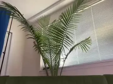 therealveggieboy Image 14