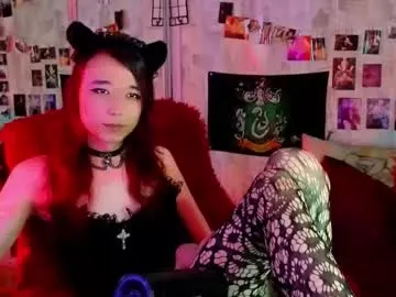 shaarebaare – webcam model profile photo Image 14