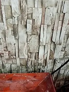 Priyanka_Pal – webcam model profile photo Image 13