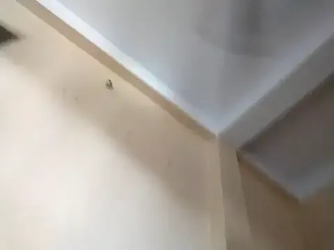 LittleMissEeve – webcam model profile photo Image 2