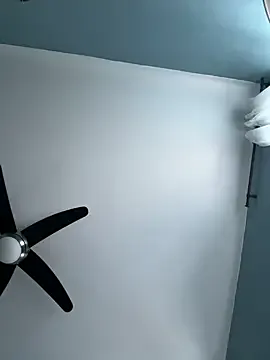 Annicam Image 4
