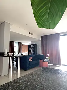 serenahall_ – webcam model profile photo Image 18