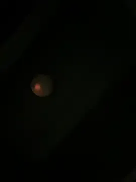 Mehta_seema – webcam model profile photo Image 2