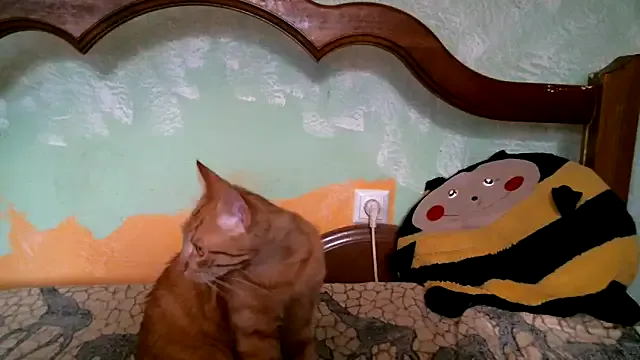 KAMUKH-NEHA-SEXY – webcam model profile photo Image 10