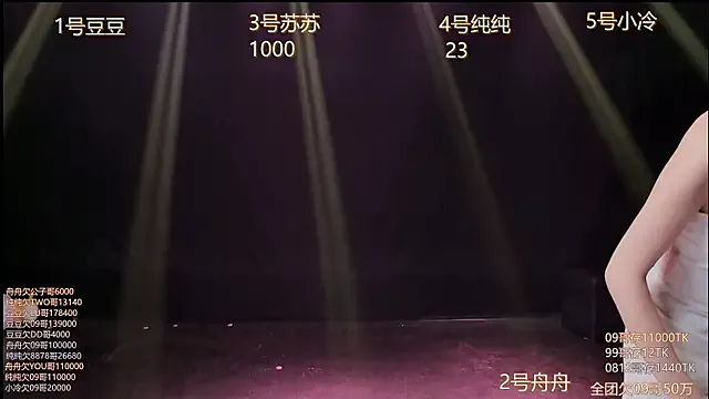 hymsv3333 Image 3