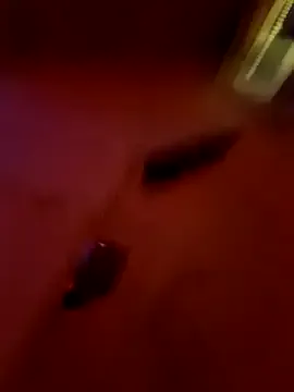 Iitaniee Image 7