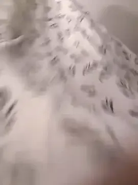 alissgrey – webcam model profile photo Image 16