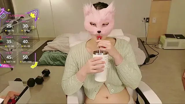 Kor_Cat Image 4