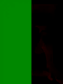 LorenRosse Image 11