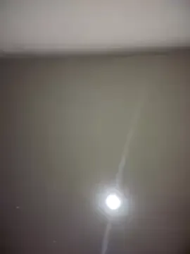 taitehambelton – webcam model profile photo Image 18