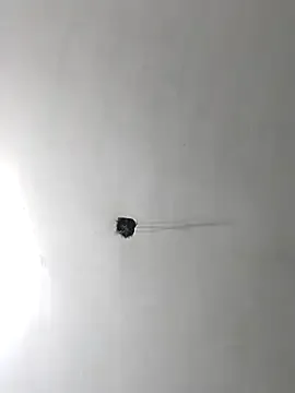 JennyInVegas – webcam model profile photo Image 10