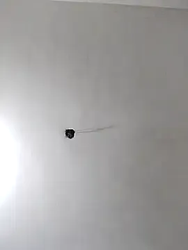 JennyInVegas – webcam model profile photo Image 13