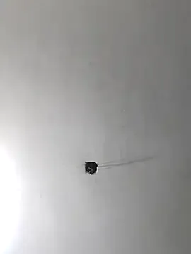 JennyInVegas – webcam model profile photo Image 14