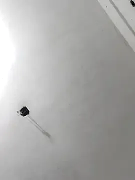 JennyInVegas – webcam model profile photo Image 2