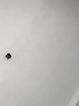 JennyInVegas – webcam model profile photo Image 5