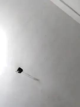 JennyInVegas – webcam model profile photo Image 6