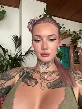 Stella-Kink Image 8