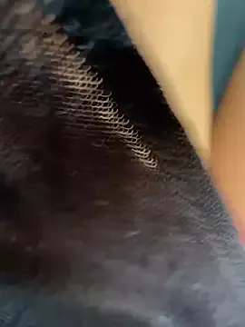 Wet-Pussycat Image 19