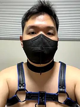 taitehambelton – webcam model profile photo Image 8