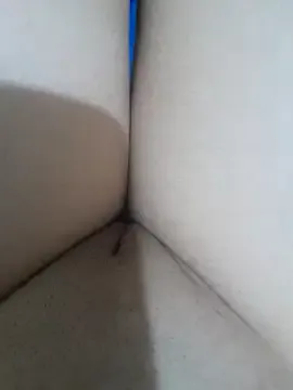 yakot7 Image 4